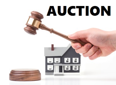 Auction property market